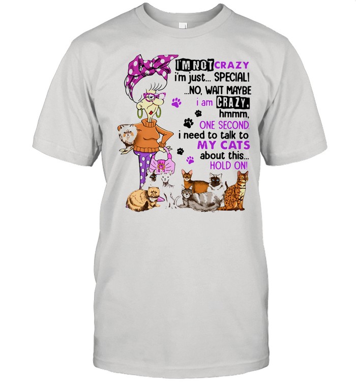 I’m Not Crazy I’m Just Special No Wait Maybe I Am Crazy Hmm One Second I Need To Talk To My Cats About This Hold On shirt