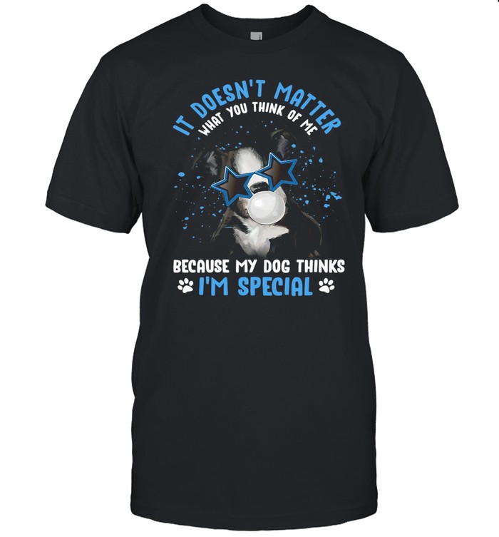 My Boston Terrier it Doesn’t Matter What You Think of Me Because My Dog Thinks I’m Special shirt