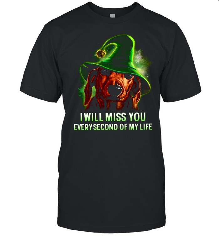 I Will Miss You Everysecond Of My Life shirt