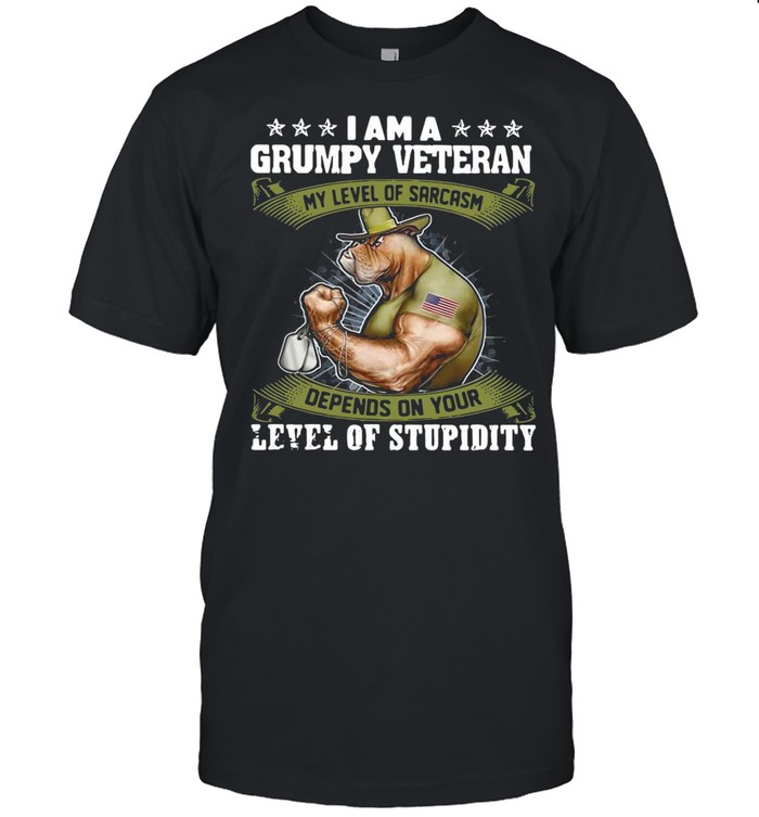 I Am A Grumpy Veteran My Level Of Sarcasm Depends On Your Level Of Stupidity T-shirt