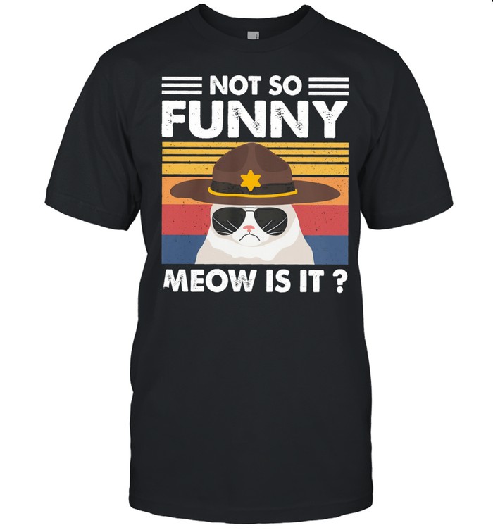 Cat not so funny meow is it vintage shirt