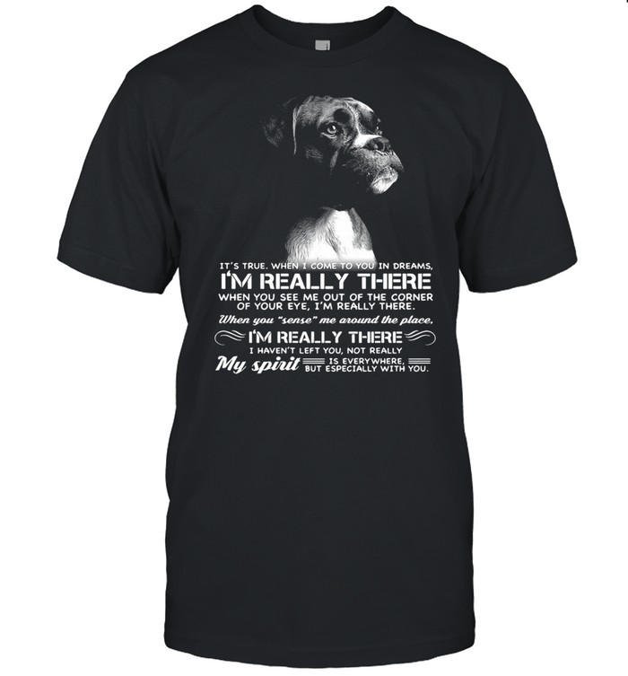 Boxers It's True When I Come To You In Dream I'm Really There Shirt