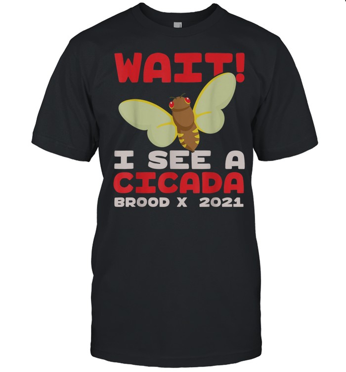 Wait I See A Cicada Bug Brood X 2021 Insect shirt