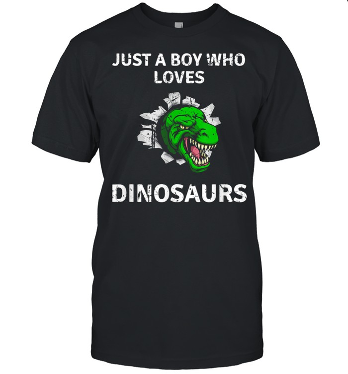 Just A Boy Who Loves Dinosaurs Trex Dino Design T Rex shirt