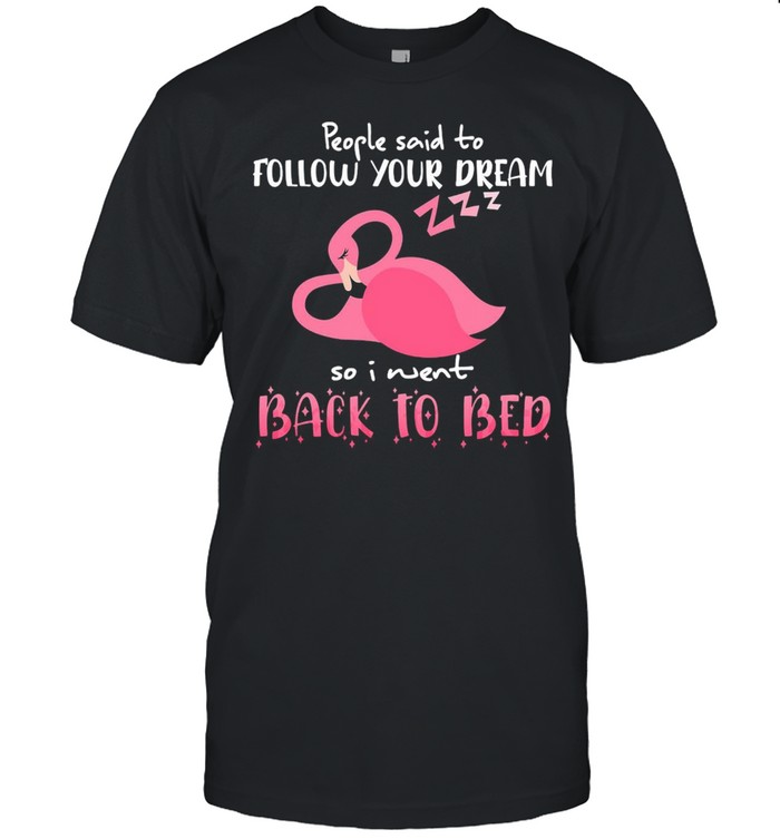 Flamingo People Said To Follow Your Dream So I Went Back To Bed T-shirt