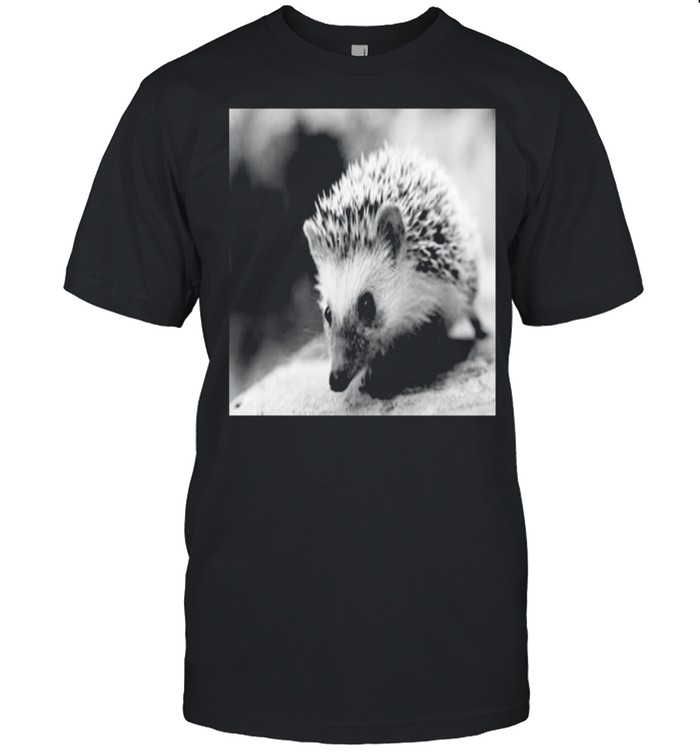 Sweet Hedgehog in autumn  Classic Men's T-shirt