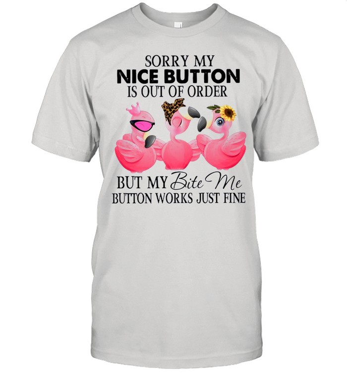 Sorry My Nice Button Is Out Of Order But My Bite Me Button Works Just Fine 2021 shirt