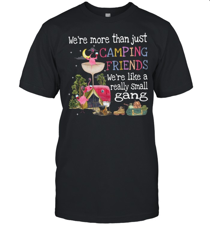 Were More Than Just Camping Friends Were Like A Really Small Gang shirt