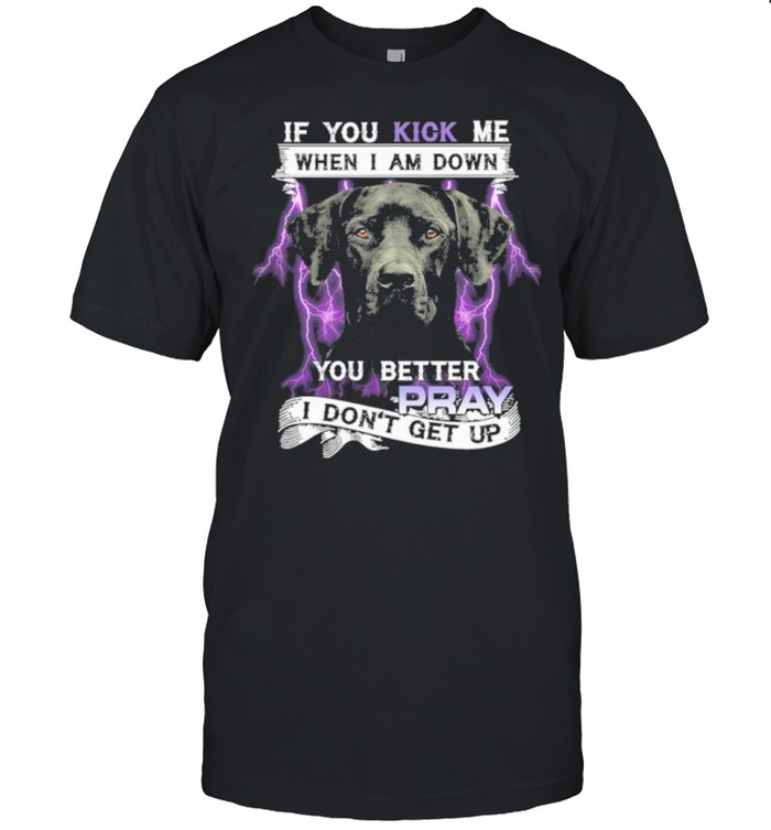 Dog if you kick me when I am down you better pray I dont get up shirt