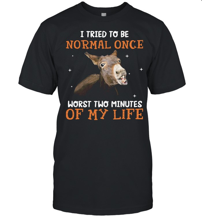 Donkey I Tried To Be Normal One Worst Two Minutes Of My Life Shirt