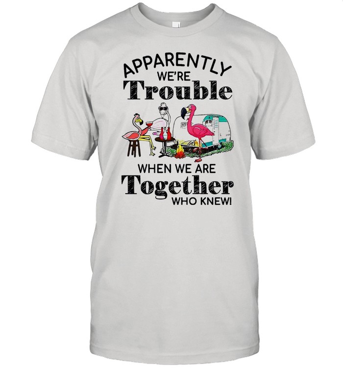 Flamingos apparently were trouble when were together who knew shirt