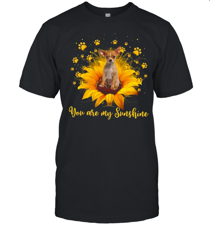 Chihuahua Sunflower You Are My Sunshine Shirt