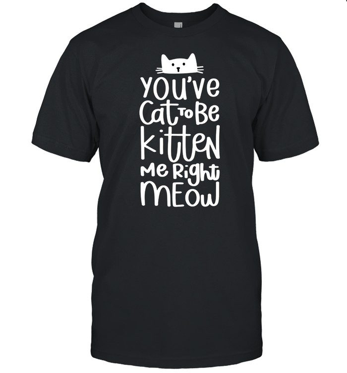 Cat You’ve Got To Be Kitten Me Cat Pun Shirt