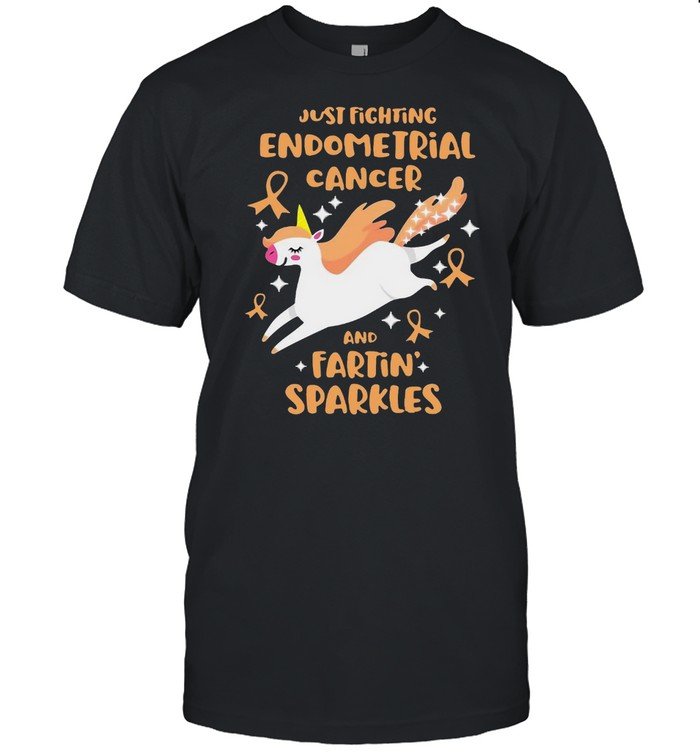 Unicorn Just Fighting Endometrial Cancer And Farting Sparkles T-shirt