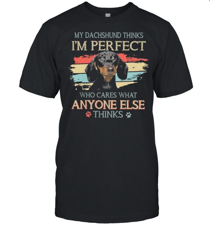 My Dachshund Thinks Im Perfect Who Cares What Anyone Else Thinks Vintage shirt
