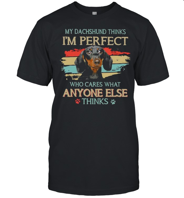 My Dachshund Thinks I’m Perfect Who Cares What Anyone Else Thinks Vintage Shirt