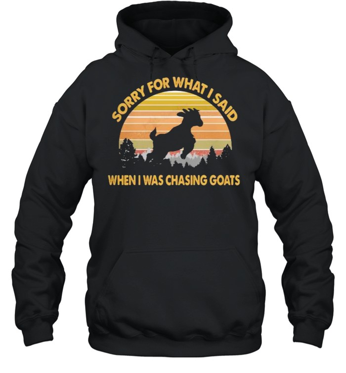 Sorry For What I Said When I Was Chasing Goats Vintage  Unisex Hoodie