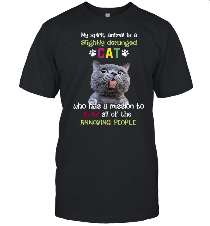 My Spirit Animal is A Slightly Deranged Cat Who Has A Mission To Slap All Of The Annoying People T-shirt Classic Men's T-shirt