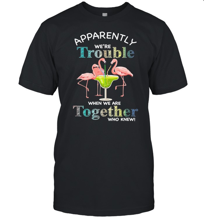 Flamingos MARGARITA Apparently Were Trouble When We Are Together Who Knew shirt
