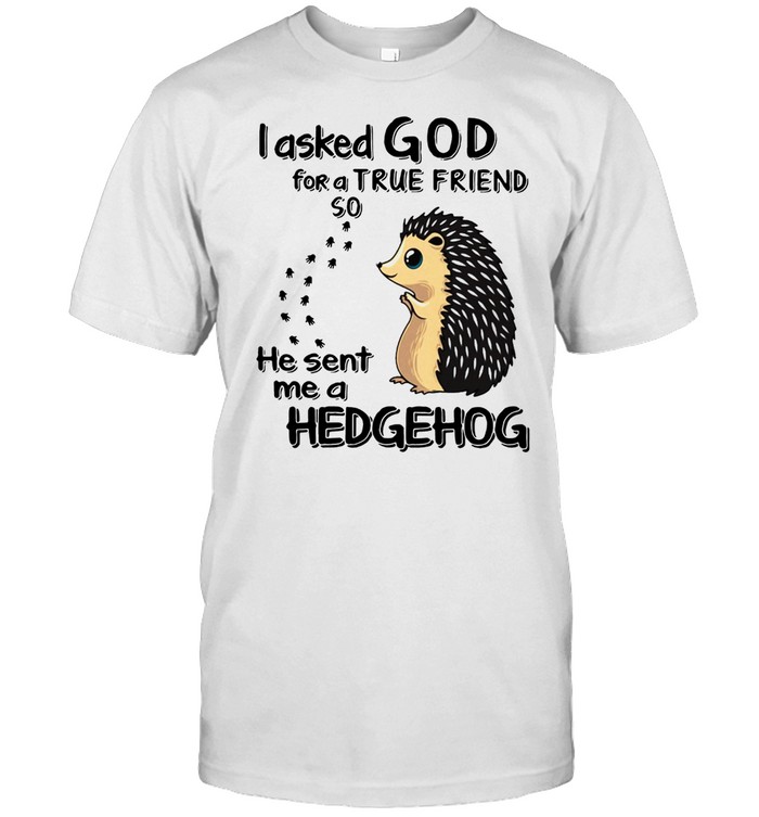 I ASKED GOD FOR A TRUE FRIEND SOO HE SENT ME A HEDGEHOG SHIRT