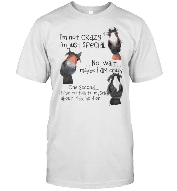 I’m not Crazy I’m Just Special No Wait Maybe I Am Crazy One Second I Have To Talk To Myself About This Hold On Shirt
