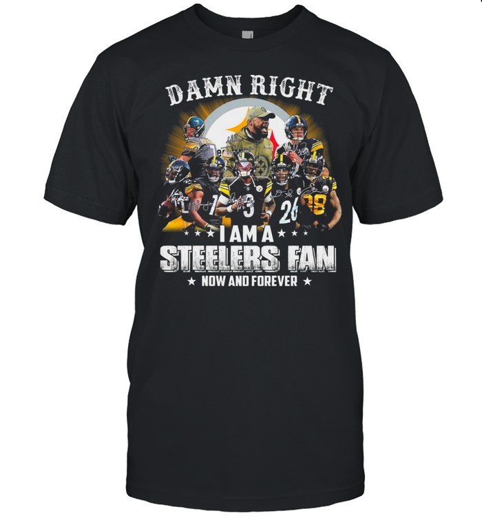 Pittsburgh Steelers Baseball Teams Damn Right I Am A Steelers Signature Fan Now And Forever shirt