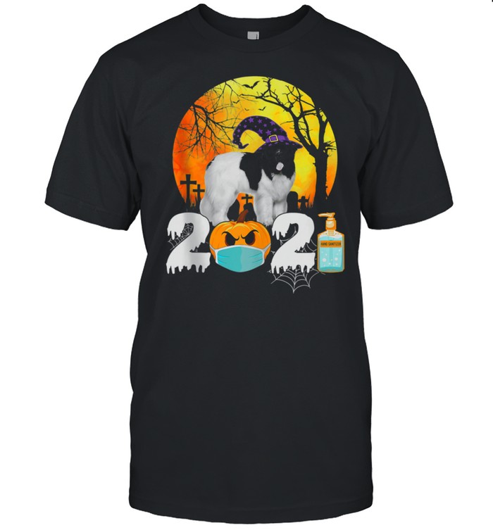 Costume 2021 Halloween Newfoundland Witch Hat shirt