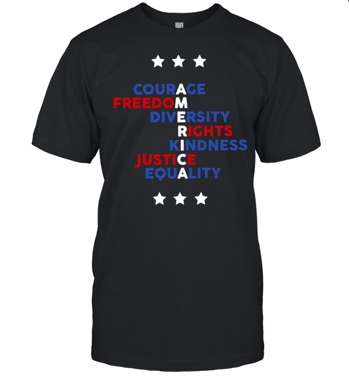 America courage freedom diversity rights kindness justice equality shirt