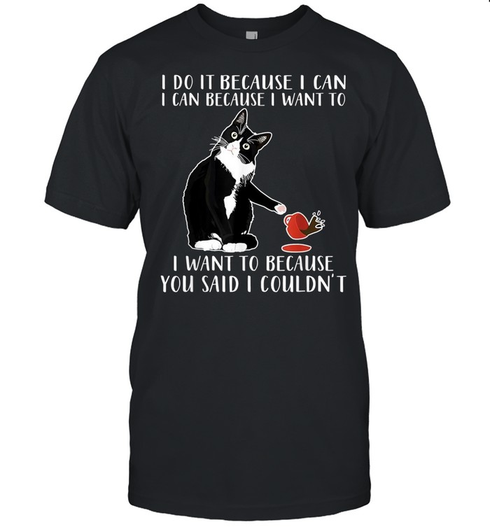 I do it because I can I can because I want to shirt