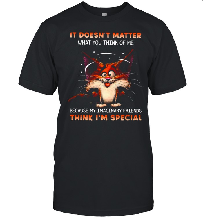 Cat It Doesn’t Matter What You Think Of Me Because My Imaginary Friends Think I’m Special Shirt