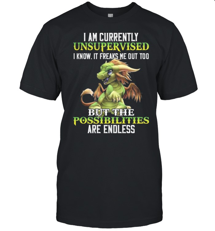 Dragon I Am Currently Unsupervised I Know It Freaks shirt