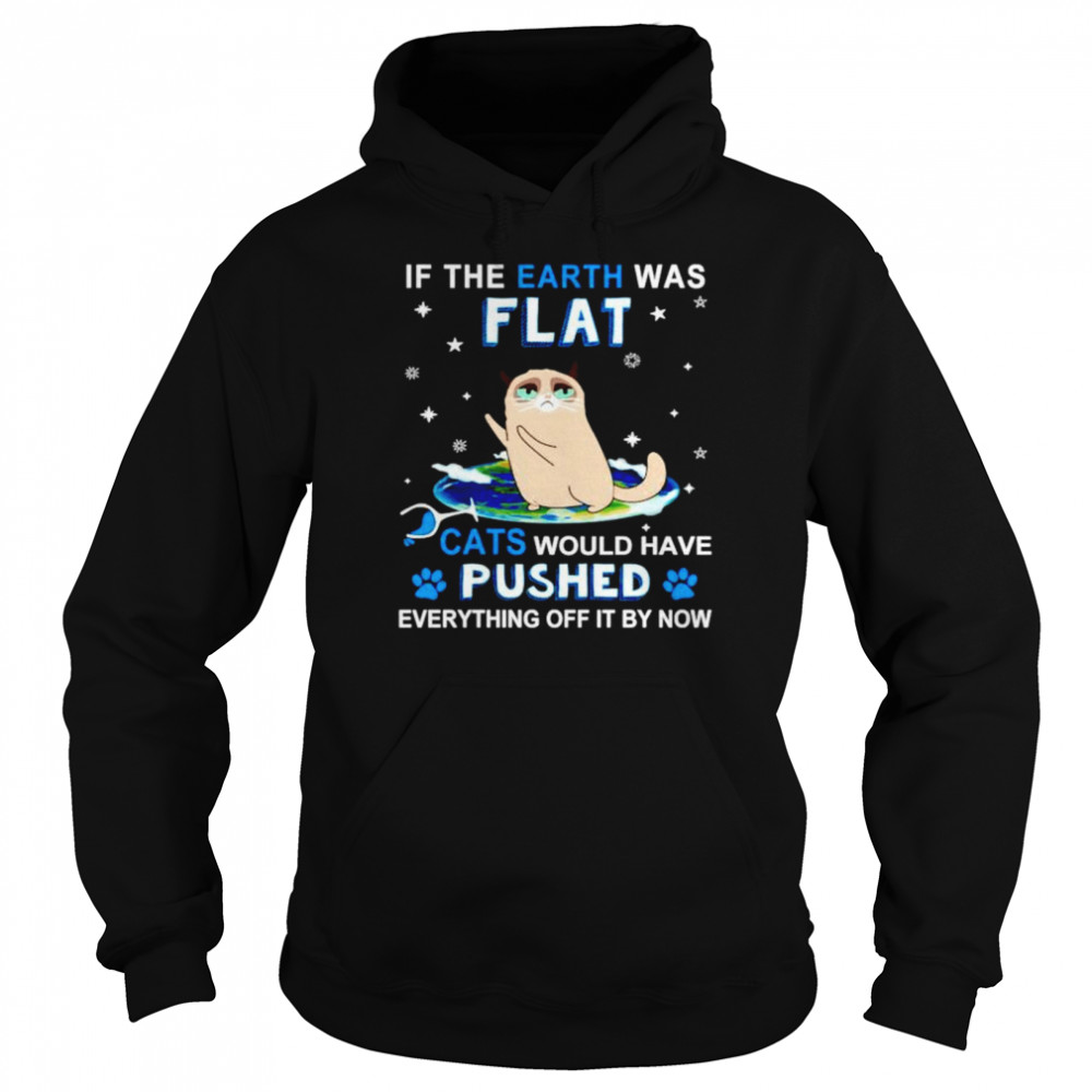 If the earth was flat cats would have pushed shirt Unisex Hoodie
