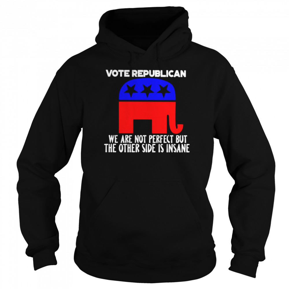 Vote republican we are not perfect but the other side is insane shirt Unisex Hoodie
