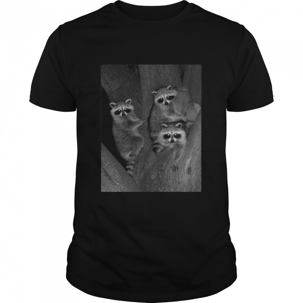 Three Baby Raccoons T-shirt