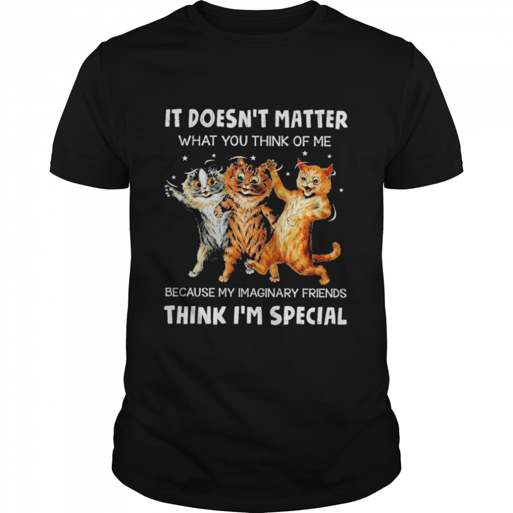 Cats it doesnt matter what you think of me because my imaginary friends think im special shirt