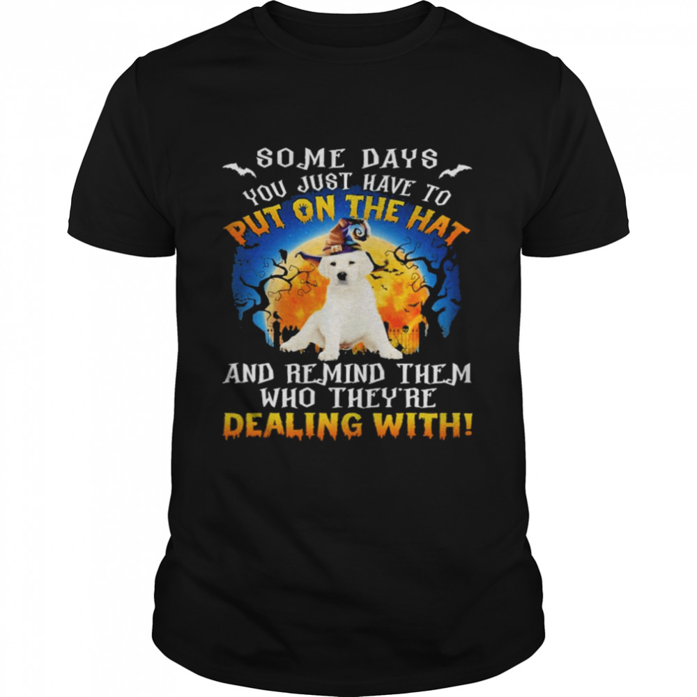 Labrador Remind Them Who Theyre Dealing With Halloween shirt