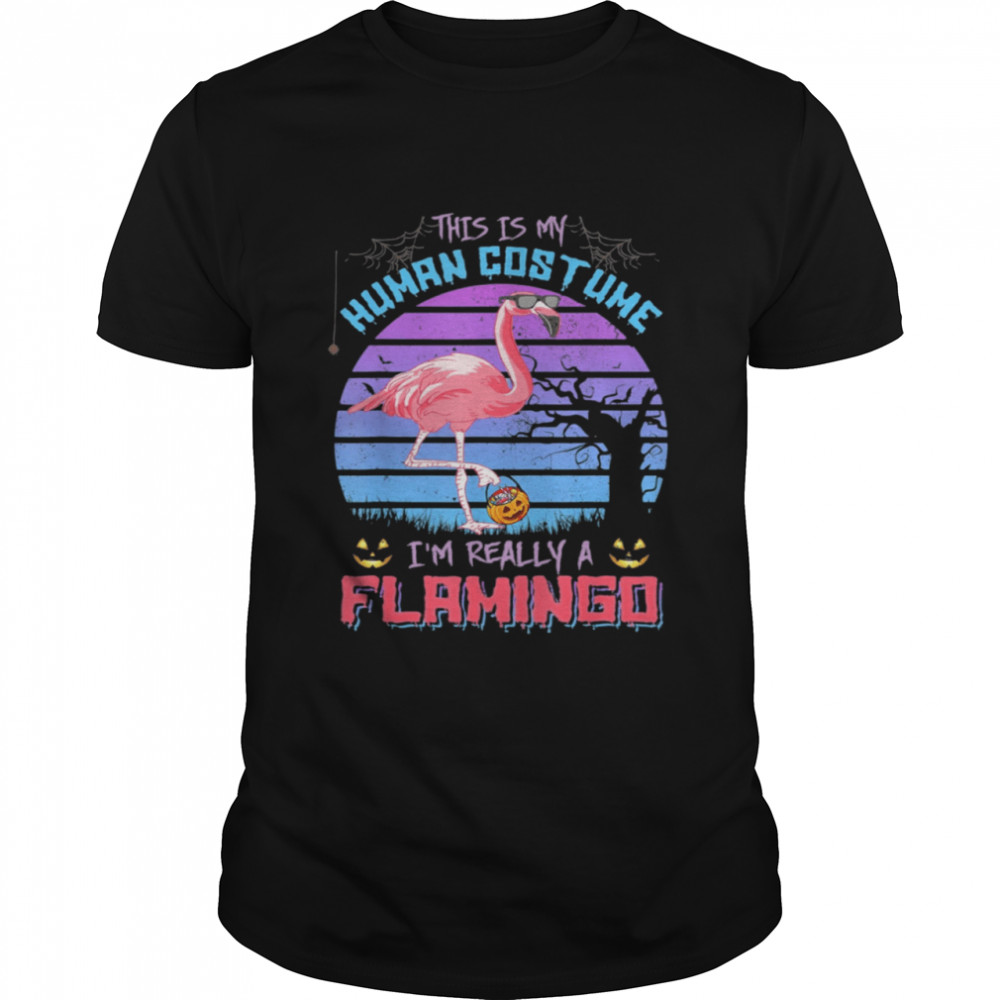 This Is My Human Costume I’m Really A Flamingo Halloween 2021 T-Shirt