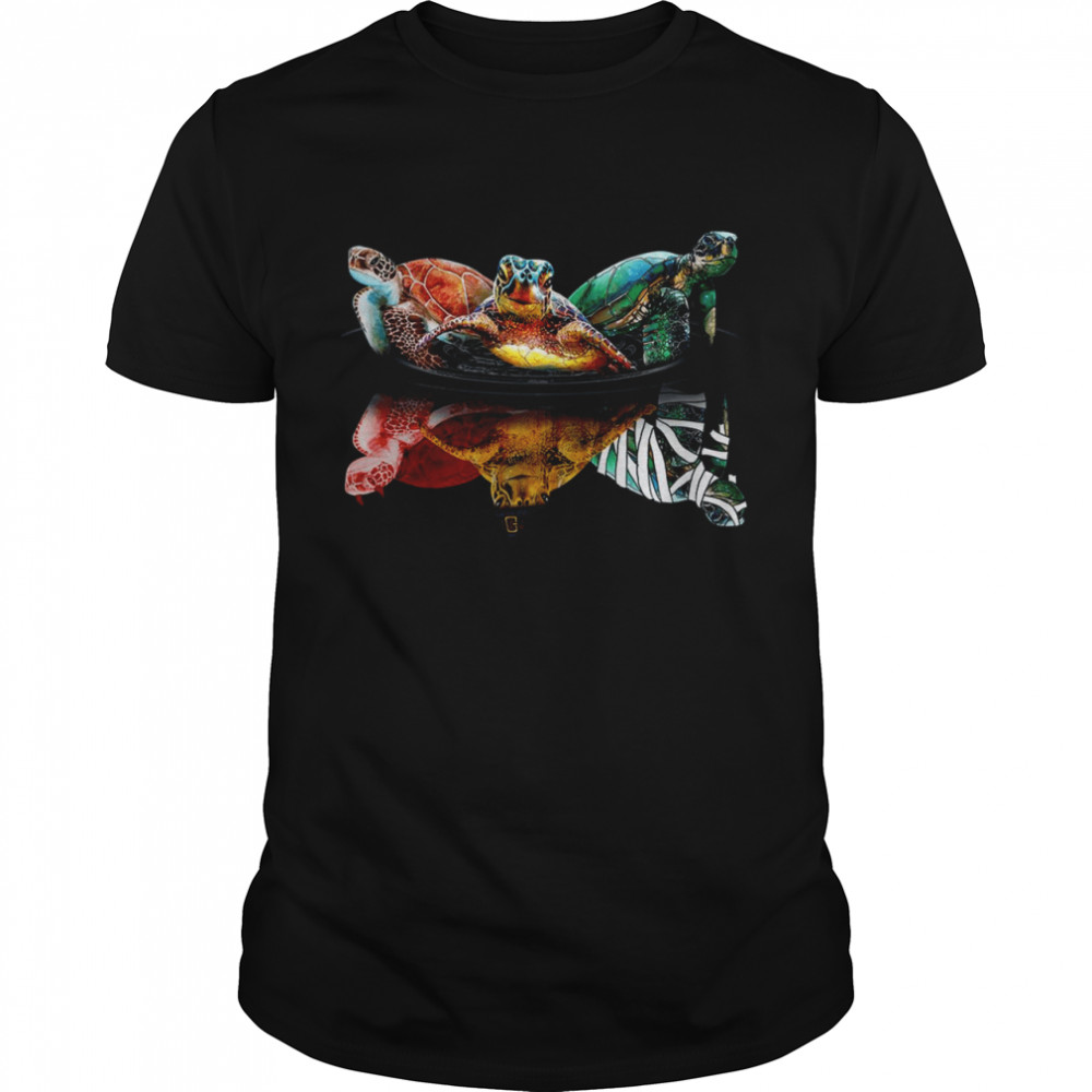 Three Turtles Mirror Water shirt