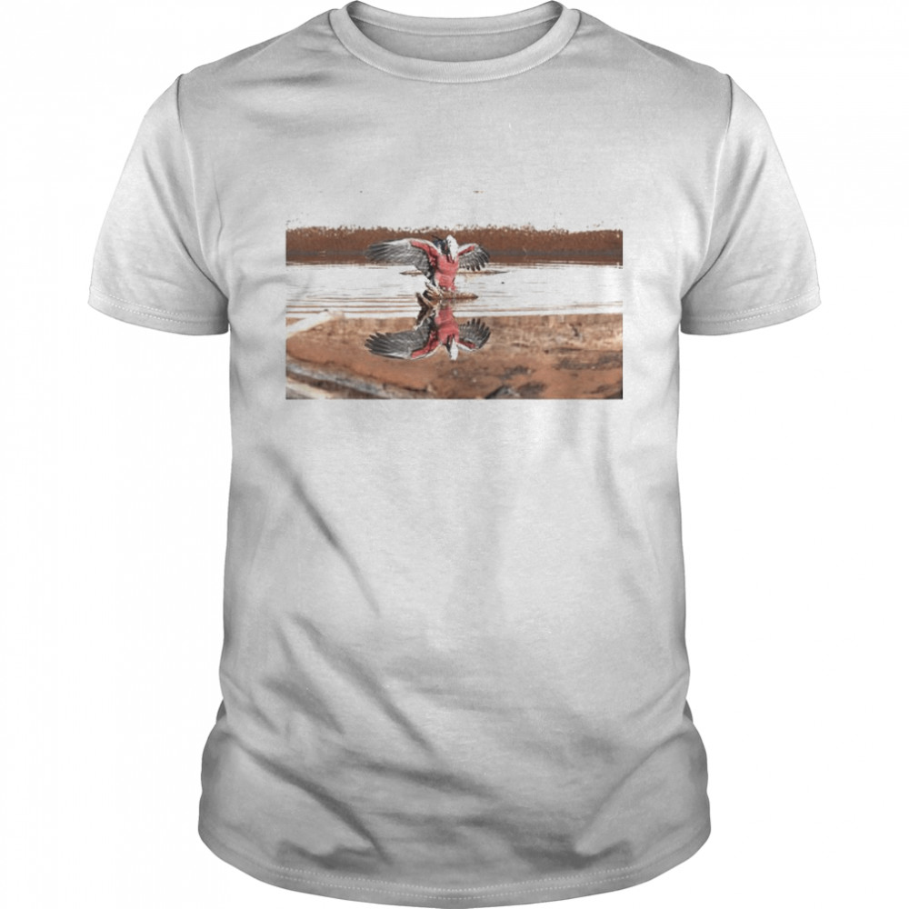 Galahs come in for a drink graphic shirt