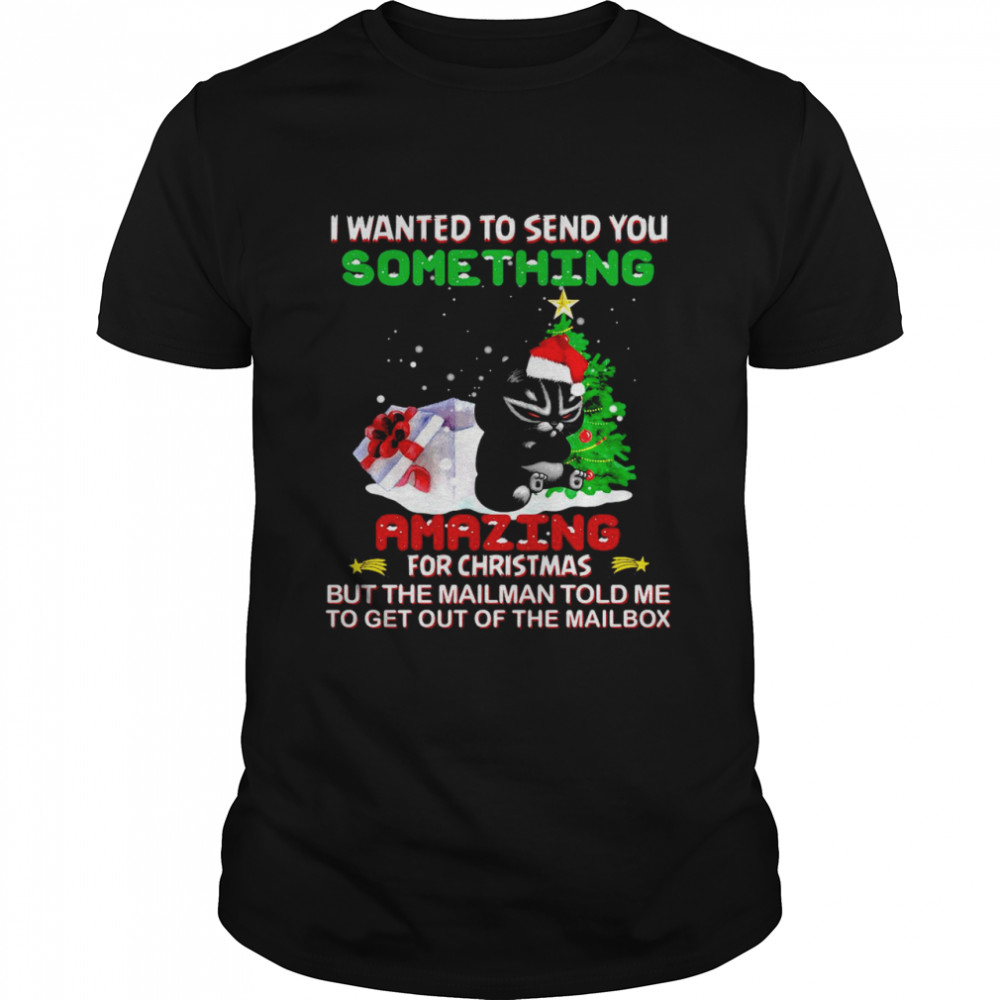 Cat I Wanted To Send You Something Amazing For Christmas But The Mailman Told Me To Get Out Of The Mailbox Shirt