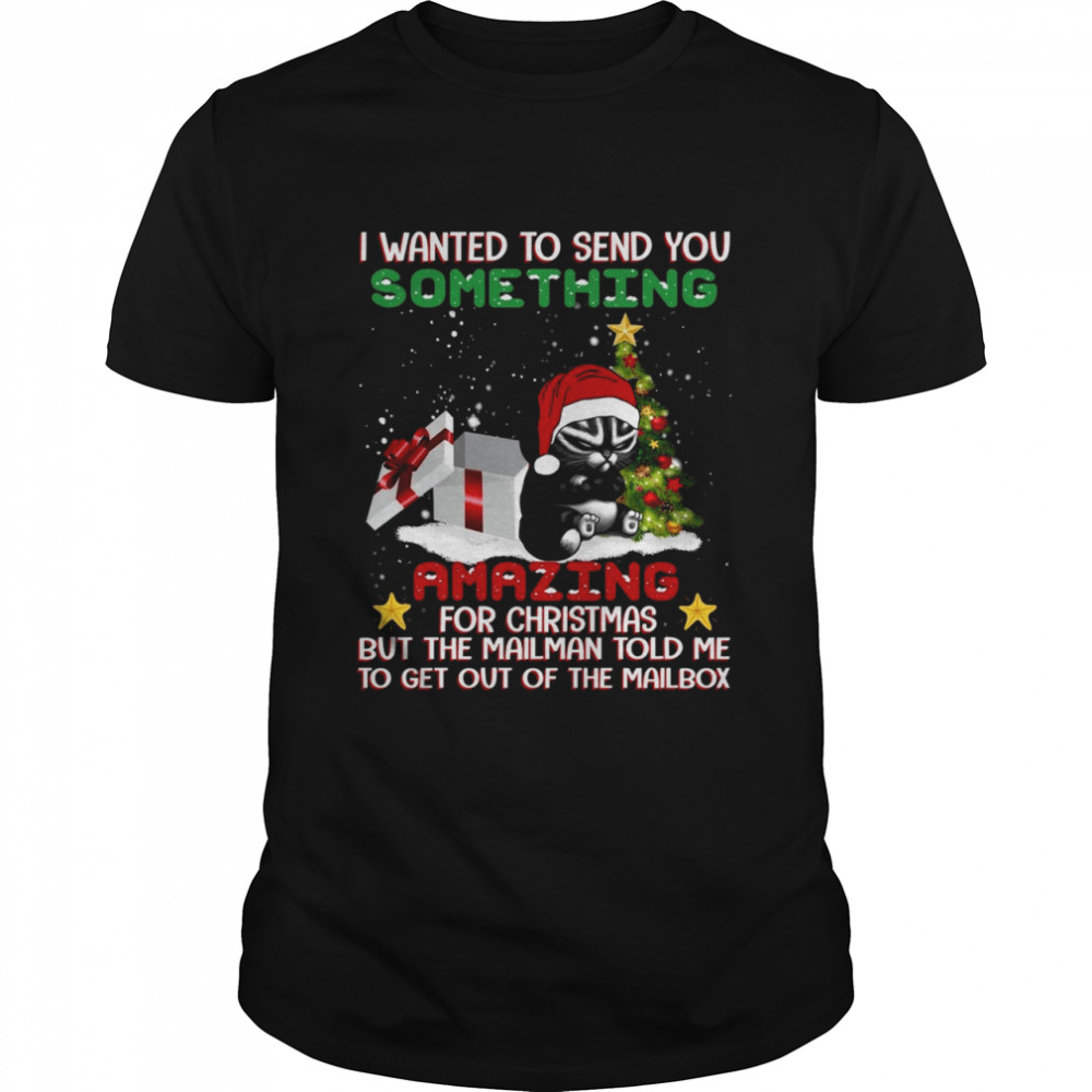 I wanted to send you something amazing for christmas but the mailman told me shirt