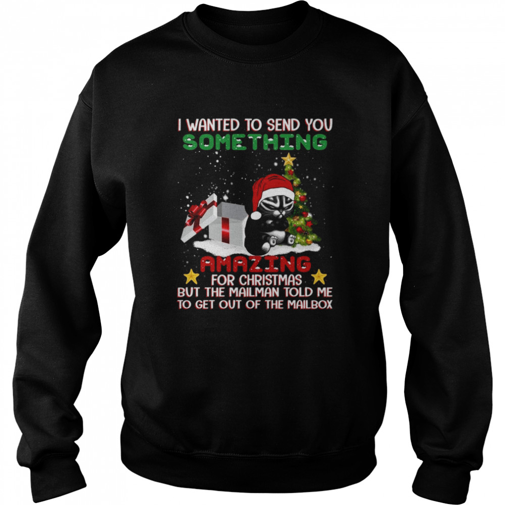 I wanted to send you something amazing for christmas but the mailman told me shirt Unisex Sweatshirt