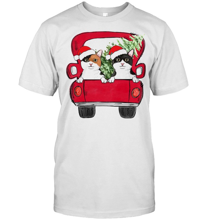 Personalized Cat Red Truck Christmas Circle Ornament shirt