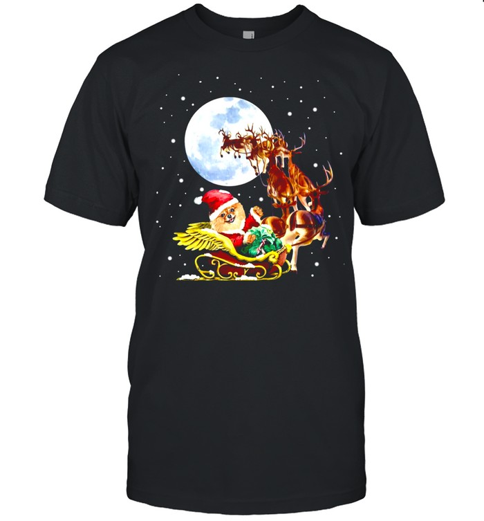 Pomeranian Special Ride Christmas Reindeer shirt