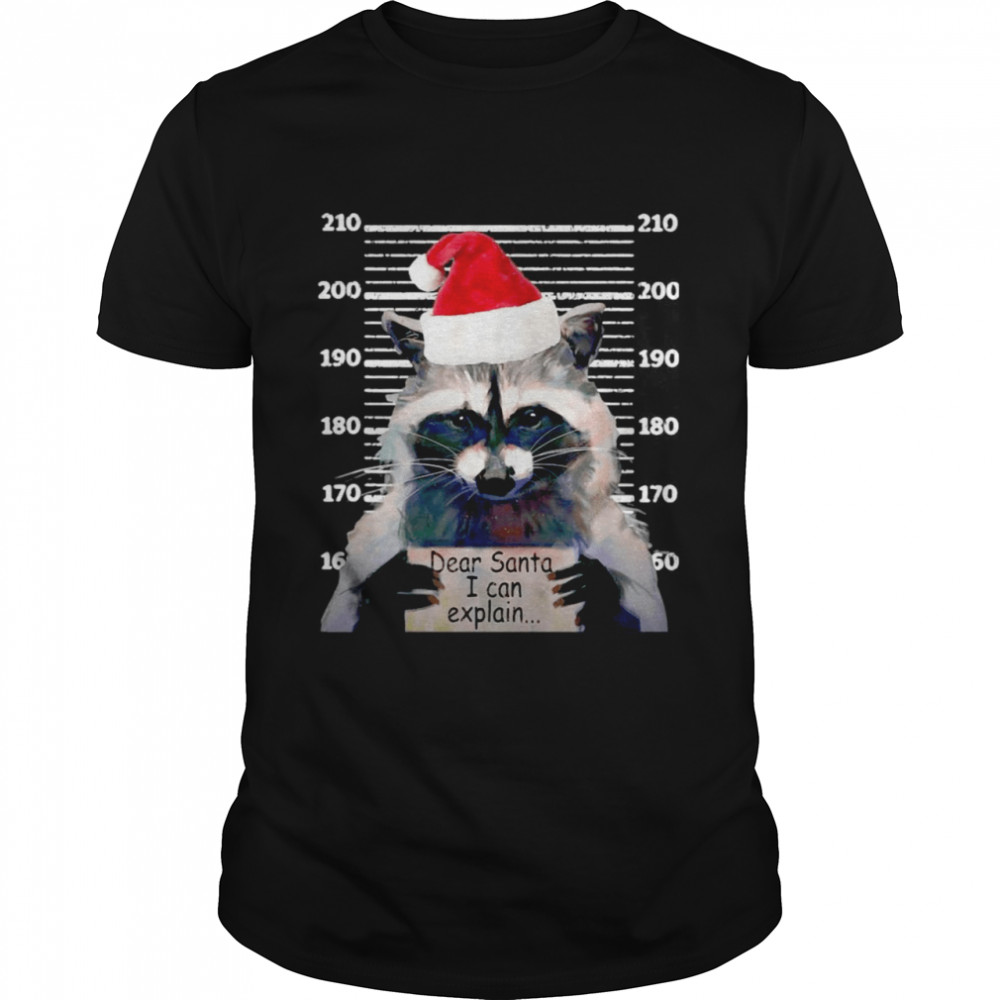 Dear Santa I Could Explain Christmas Raccoon Sweater T-shirt