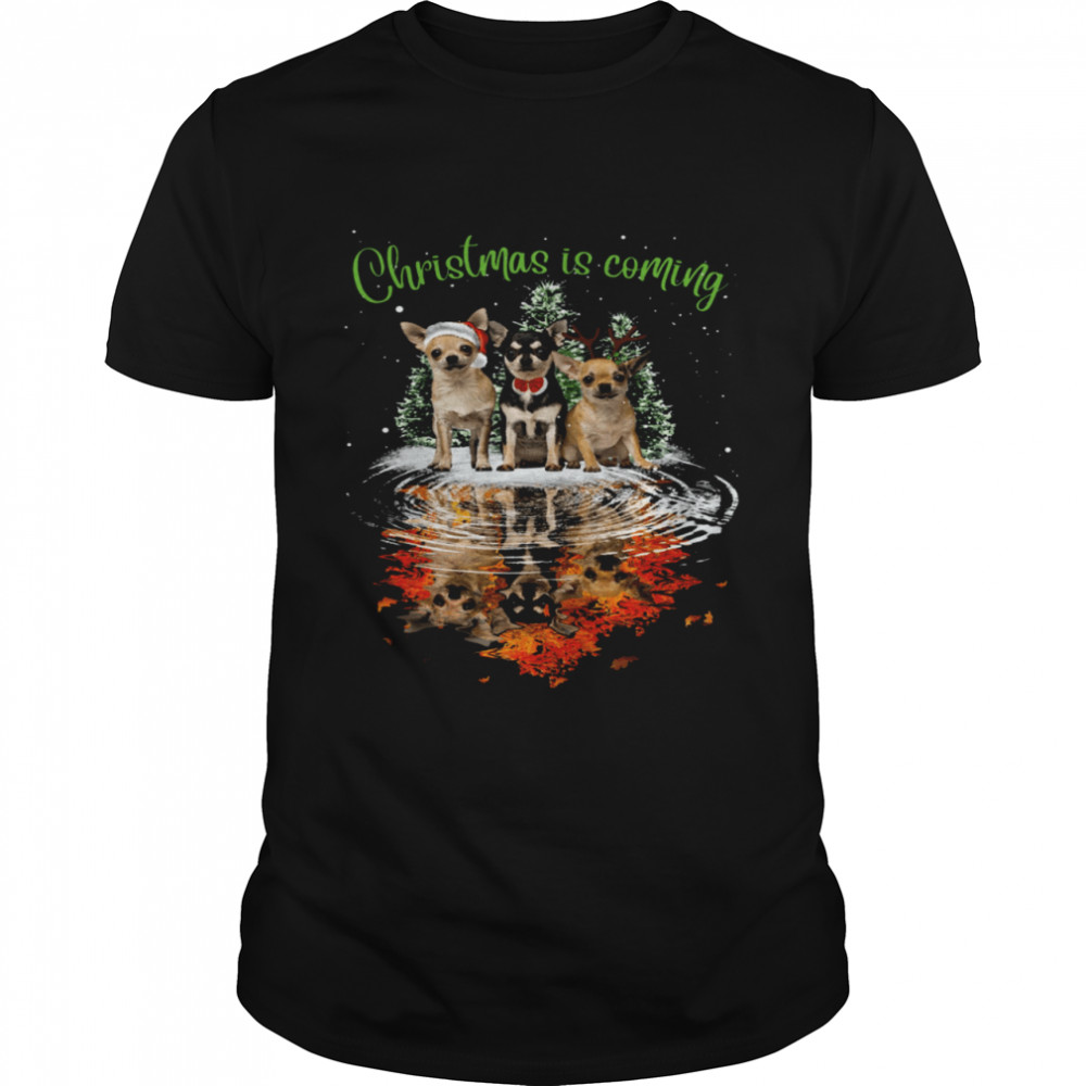 Chihuahua Christmas Is Coming Shirt