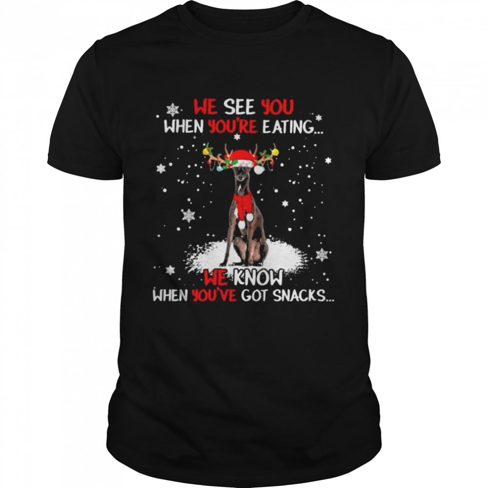 Greyhound we see You when youre eating we know when youre got snacks Christmas shirt