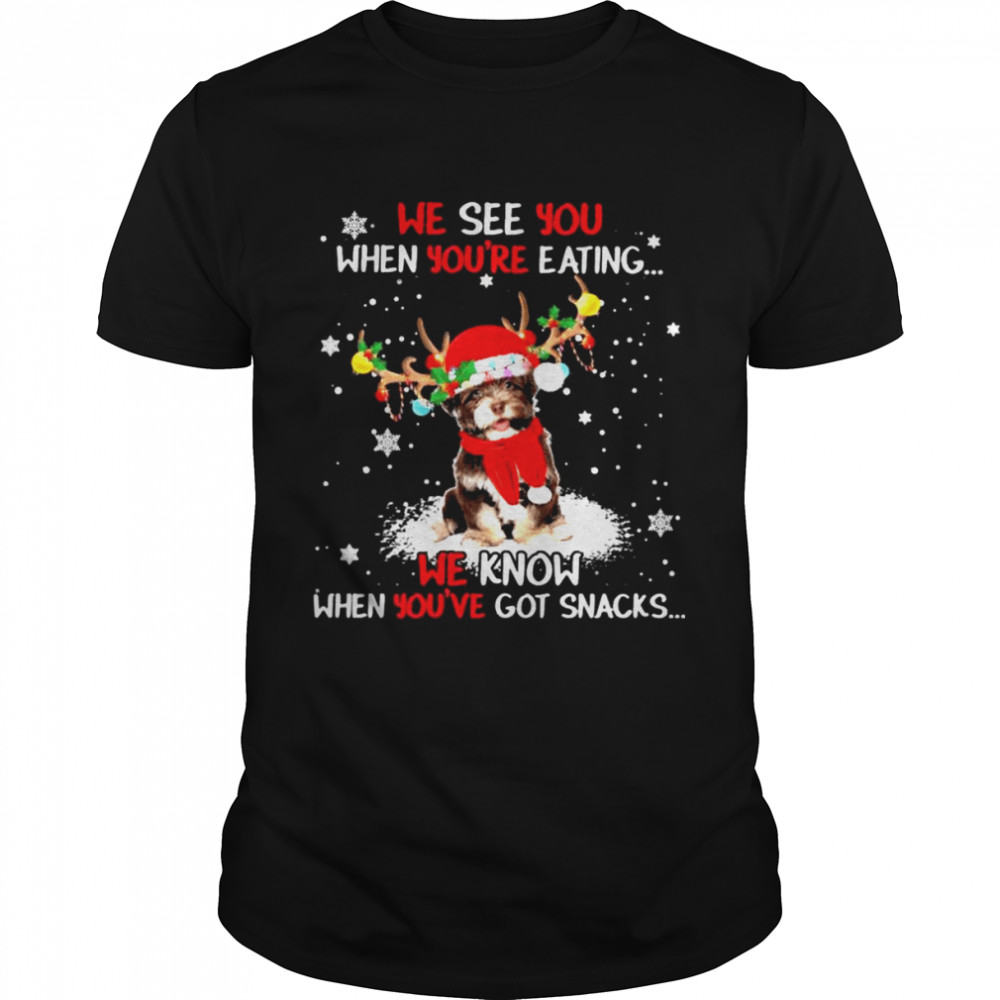 Havanese we see You when youre eating we know when youre got snacks Christmas shirt