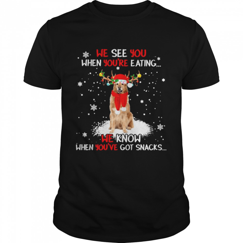 Hovawart we see You when youre eating we know when youre got snacks Christmas shirt