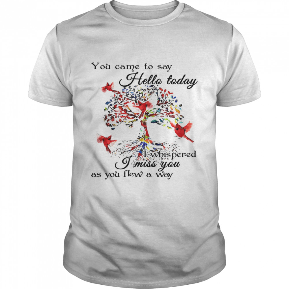 You Came To Say Hello Today I Whispered I Miss You As You Flew Away White  Classic Men's T-shirt